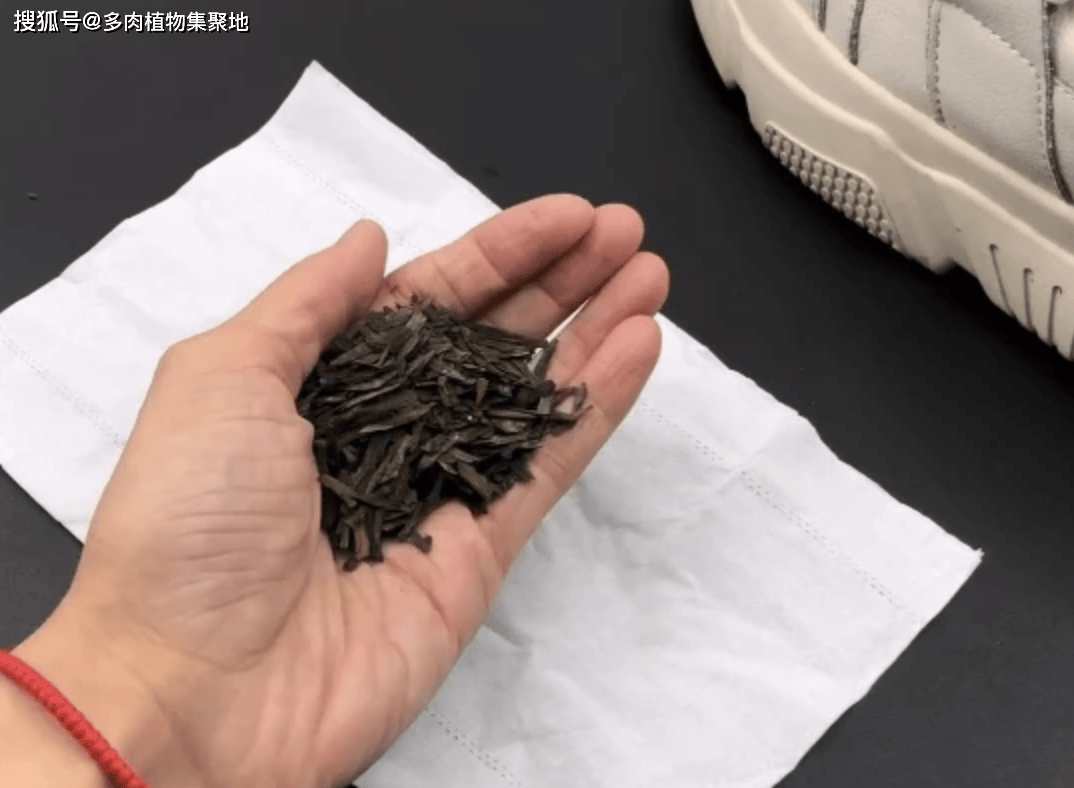 踪”家里的鞋子太臭用3种方法能除臭AG真