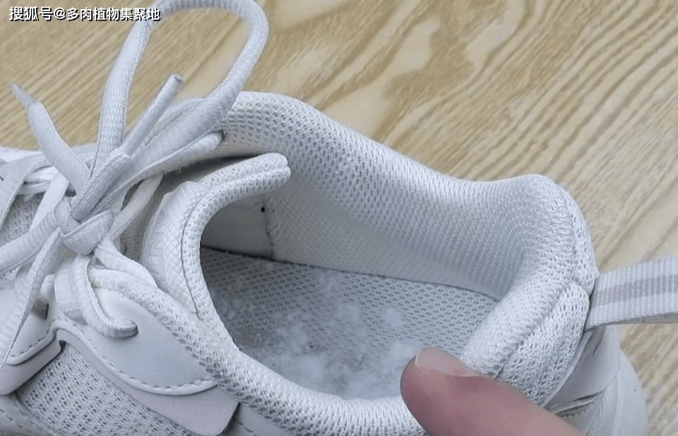 踪”家里的鞋子太臭用3种方法能除臭AG真人网站“鞋里撒3物臭味无影无(图2) 踪”家里的鞋子太臭用3种方法能除臭AG真人网站“鞋里撒3物臭味无影无(图2)