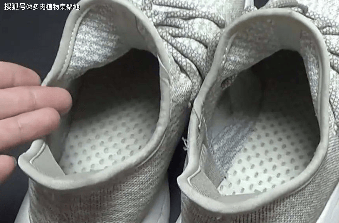 踪”家里的鞋子太臭用3种方法能除臭AG真人网站“鞋里撒3物臭味无影无(图3) 踪”家里的鞋子太臭用3种方法能除臭AG真人网站“鞋里撒3物臭味无影无(图3)