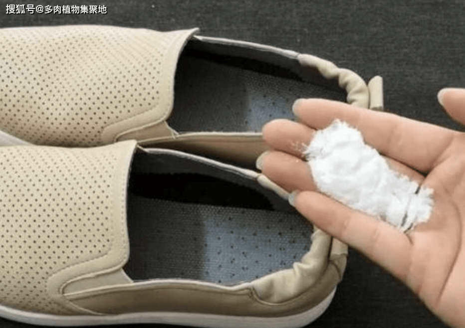 踪”家里的鞋子太臭用3种方法能除臭AG真人网站“鞋里撒3物臭味无影无(图5) 踪”家里的鞋子太臭用3种方法能除臭AG真人网站“鞋里撒3物臭味无影无(图5)